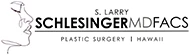 Logo for S. Larry Schlesinger, MD, FACS